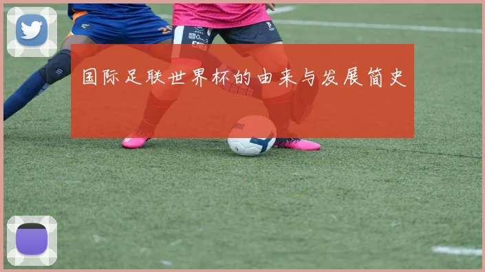 国际足联世界杯的由来与发展简史