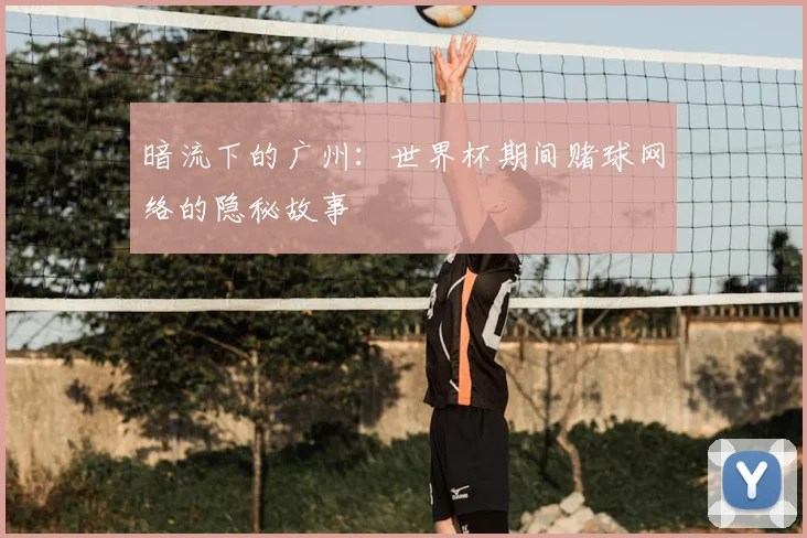 暗流下的广州:世界杯期间赌球网络的隐秘故事