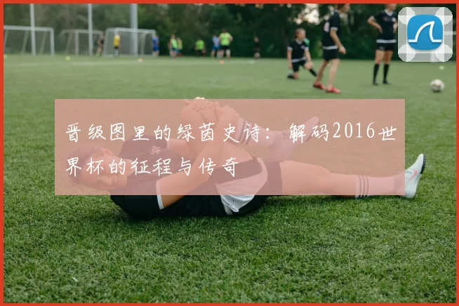 晋级图里的绿茵史诗:解码2016世界杯的征程与传奇