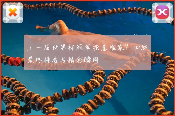 上一届世界杯冠军花落谁家?回顾最终排名与精彩瞬间