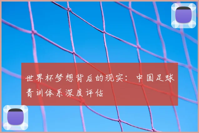 世界杯梦想背后的现实：中国足球青训体系深度评估