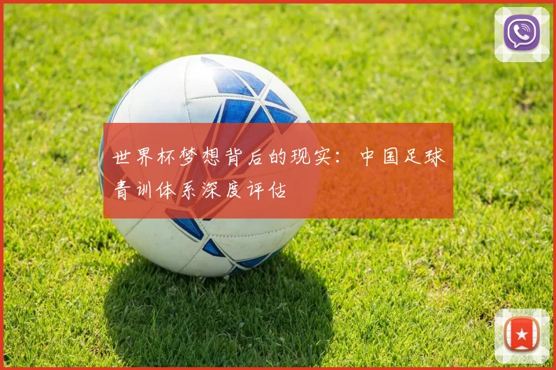 世界杯梦想背后的现实:中国足球青训体系深度评估