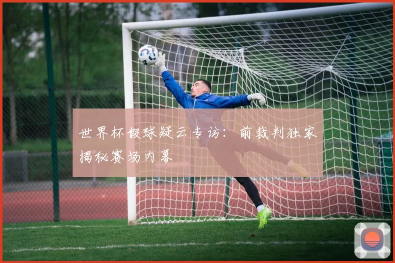 世界杯假球疑云专访：前裁判独家揭秘赛场内幕