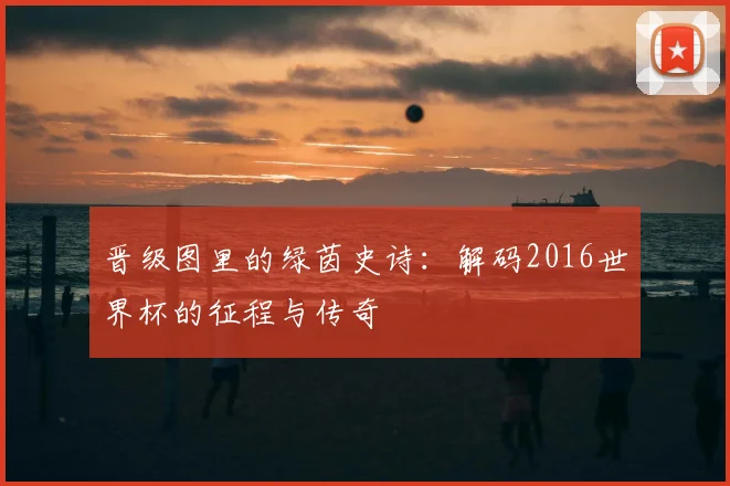 晋级图里的绿茵史诗：解码2016世界杯的征程与传奇