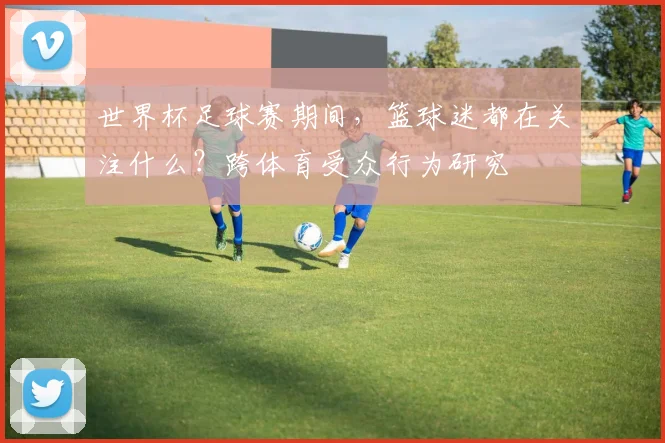 世界杯足球赛期间，篮球迷都在关注什么？跨体育受众行为研究