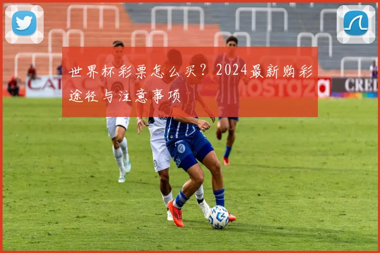 世界杯彩票怎么买？2024最新购彩途径与注意事项
